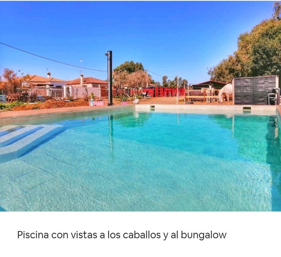 Granja America Chiclana de la Frontera Exterior photo